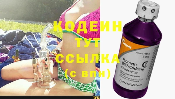 твердый Горняк