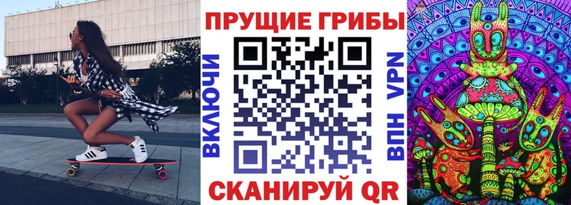 KRAKEN   Будённовск  Псилоцибиновые грибы GOLDEN TEACHER 